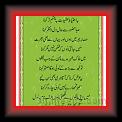01Naat_P_B_U_H__Parveen_Shakir_01ps * 15.02.2010 * 414 x 710 * (46KB)