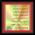 Budle_Hoye_Halaat_se_Wasif_Ali_Wasif_01w * 09.03.2010 * 359 x 578 * (50KB)