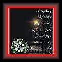 Chand_Gulaab_Aur_Main_01c * 26.04.2010 * 397 x 512 * (46KB)