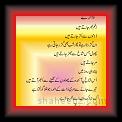 Darree01 * 07.05.2007 * 412 x 658 * (31KB)