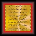 Faiz_Ahmad_Faiz_g_01f_a_f * 08.09.2009 * 346 x 508 * (49KB)