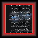Main_who_Shair_hoon_jis_ko_01m * 27.04.2010 * 319 x 552 * (43KB)