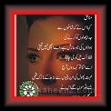 Manafiq_Fakhra_Batool_01f_ * 26.05.2010 * 401 x 564 * (46KB)