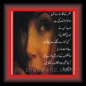 Nazar_Main_Atki_Shahaam_01n * 30.04.2010 * 319 x 740 * (54KB)