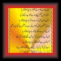 Wais_Shah_Chand_Jaltaa_rahaa_01w * 05.09.2009 * 276 x 626 * (53KB)