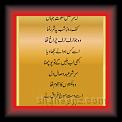 abi_lub_milin_Amjad_Islam_Amjad_01 * 10.09.2009 * 331 x 818 * (47KB)